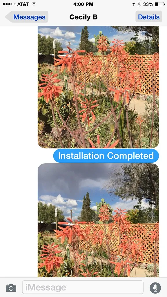 Message To The World <<>> Fence Installation Completed!!