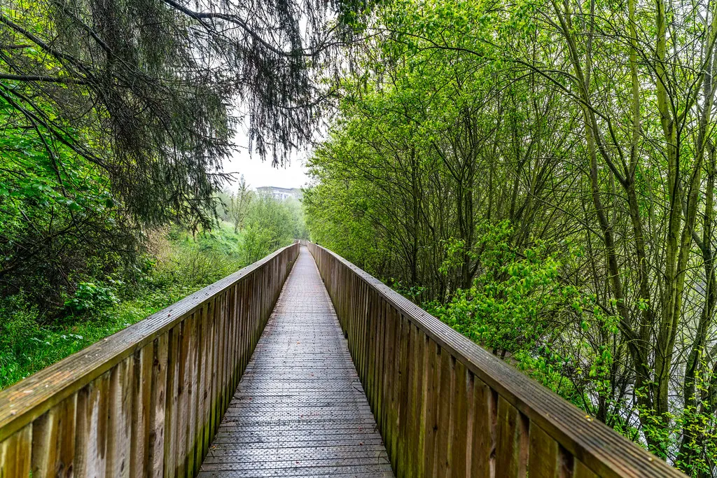 NORE LINEAR PARK IN KILKENNY CITY TUESDAY 10 MAY 2016 [THE WEATHER WAS VERY WET AND HAZY]-115697