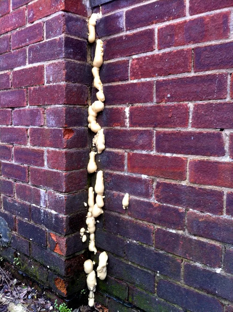Leaking building