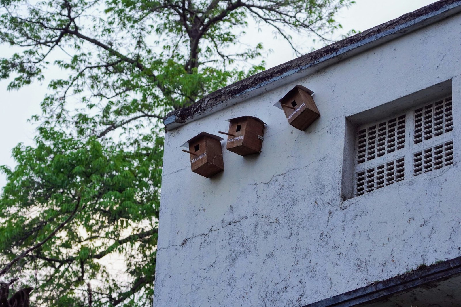 Birdhouses are mounted on a building's exterior.