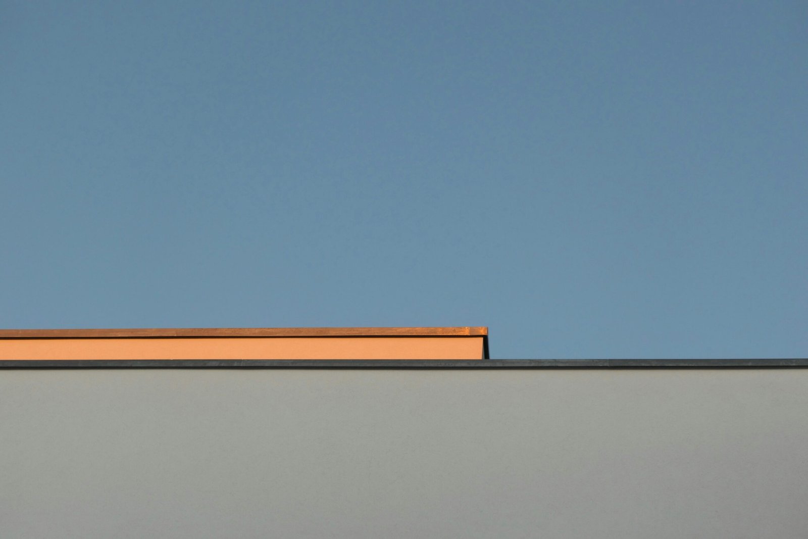 a bird is perched on top of a building