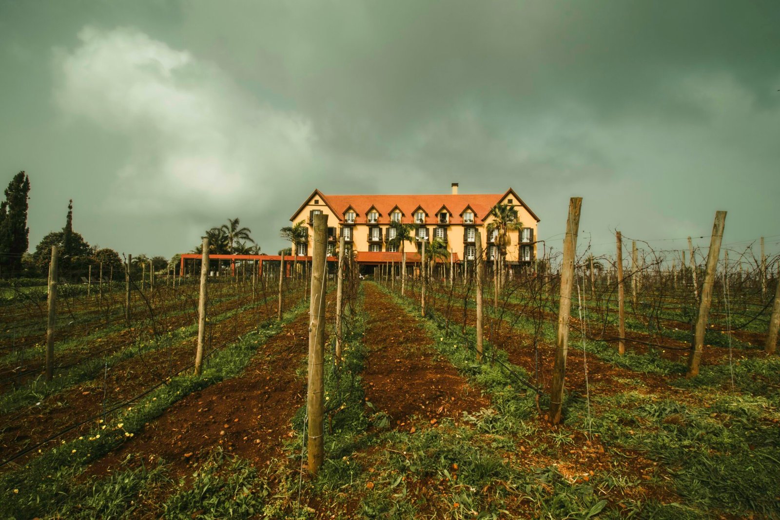 a house sitting on top of a lush green field