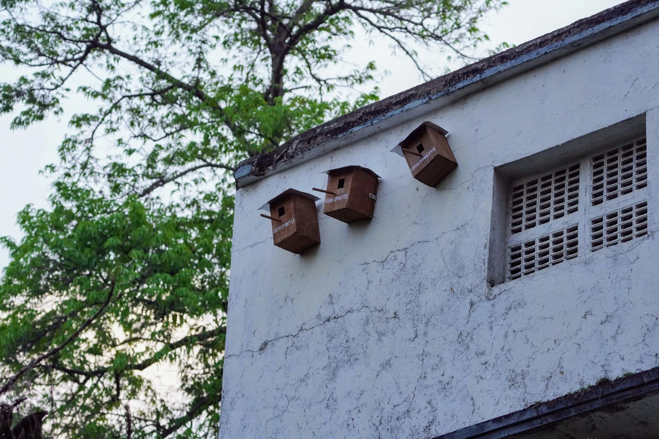 Birdhouses are mounted on a building's exterior.