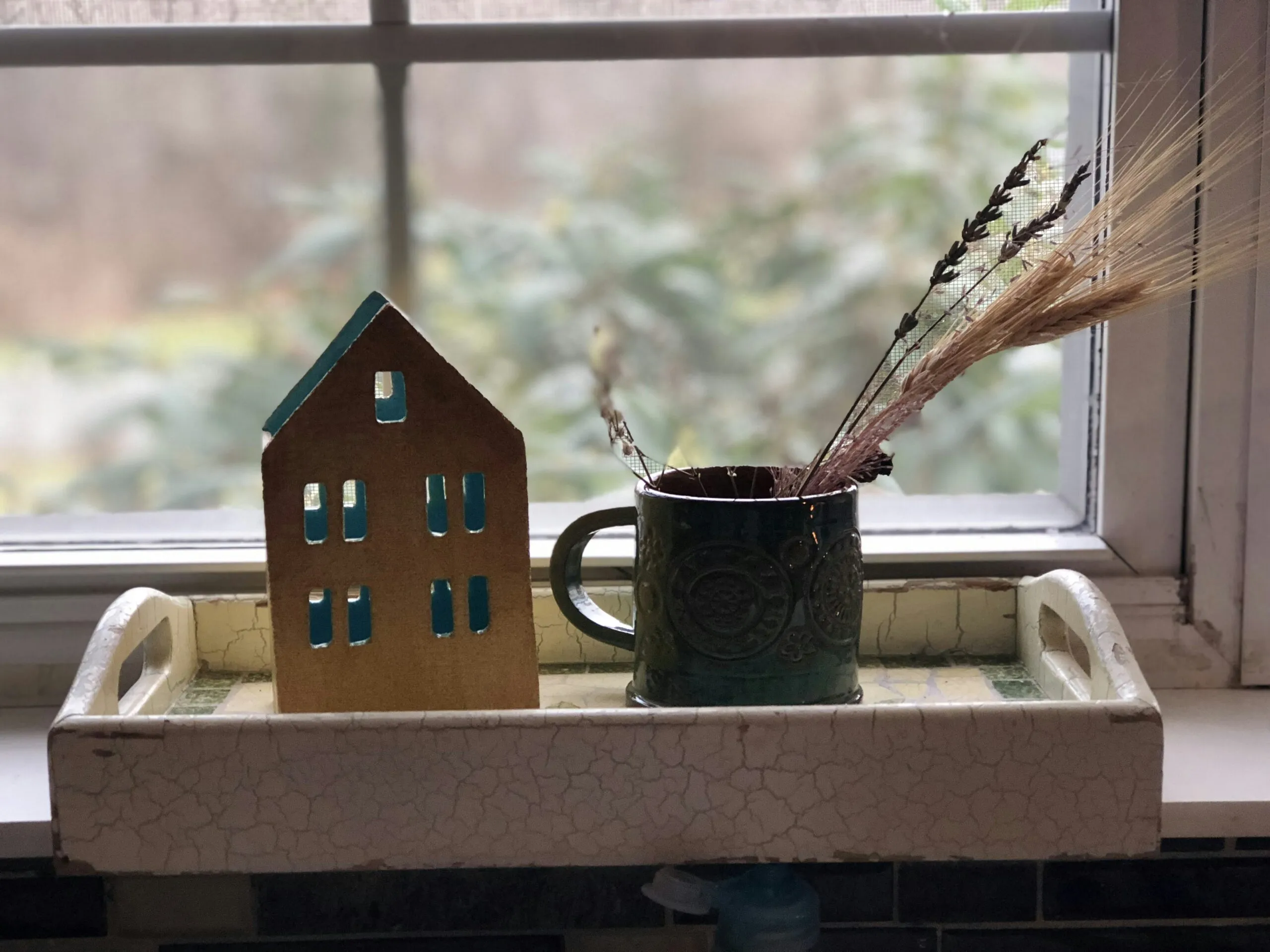 wheat in black mug beside house scale model near window