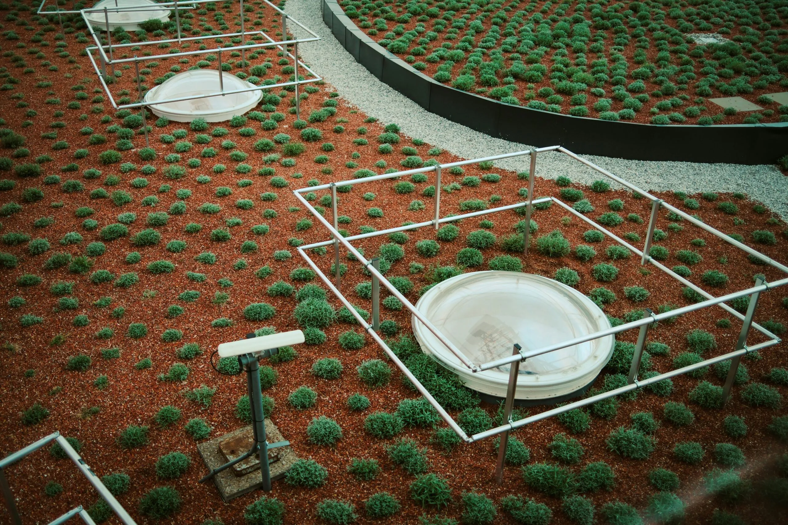 Lush greenery with structures on a rooftop garden.
