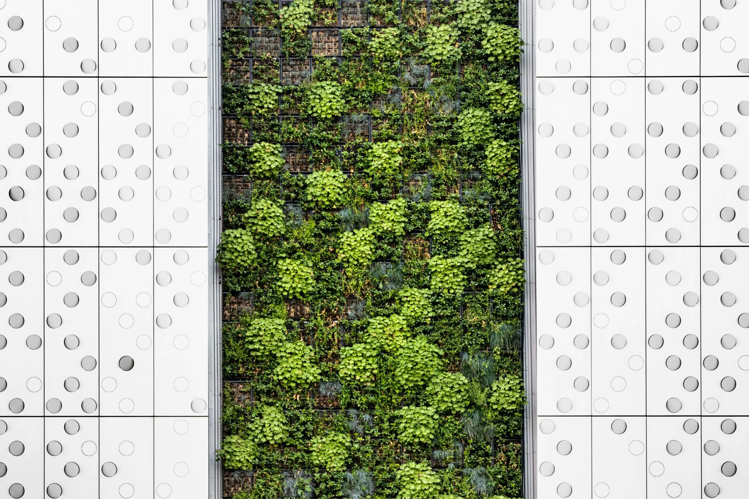 a wall covered in lots of green plants