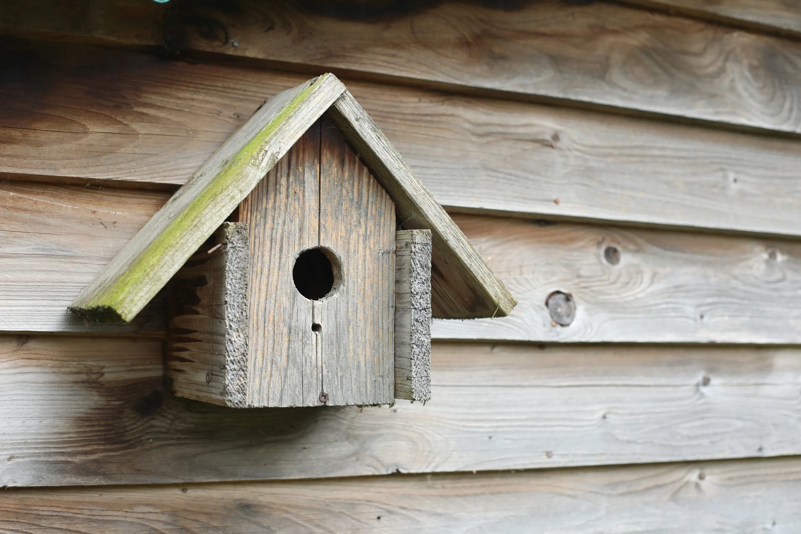 Rustic wooden birdhouse mounted on a wooden wall