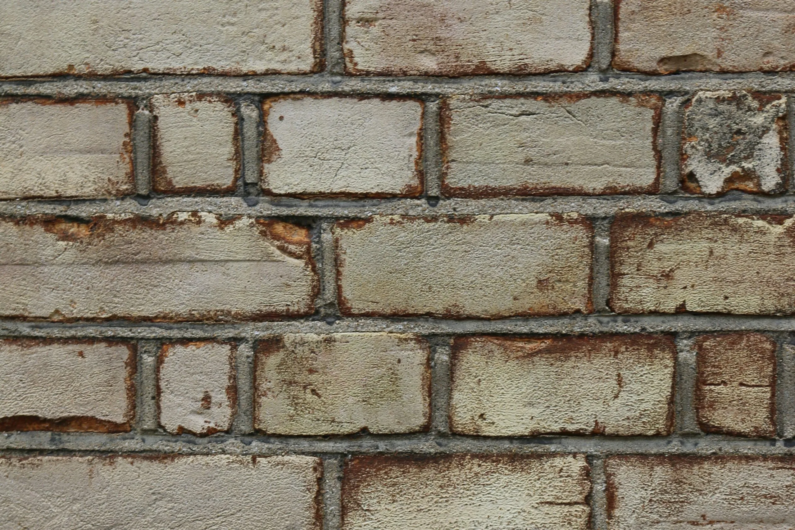 brown and white brick wall