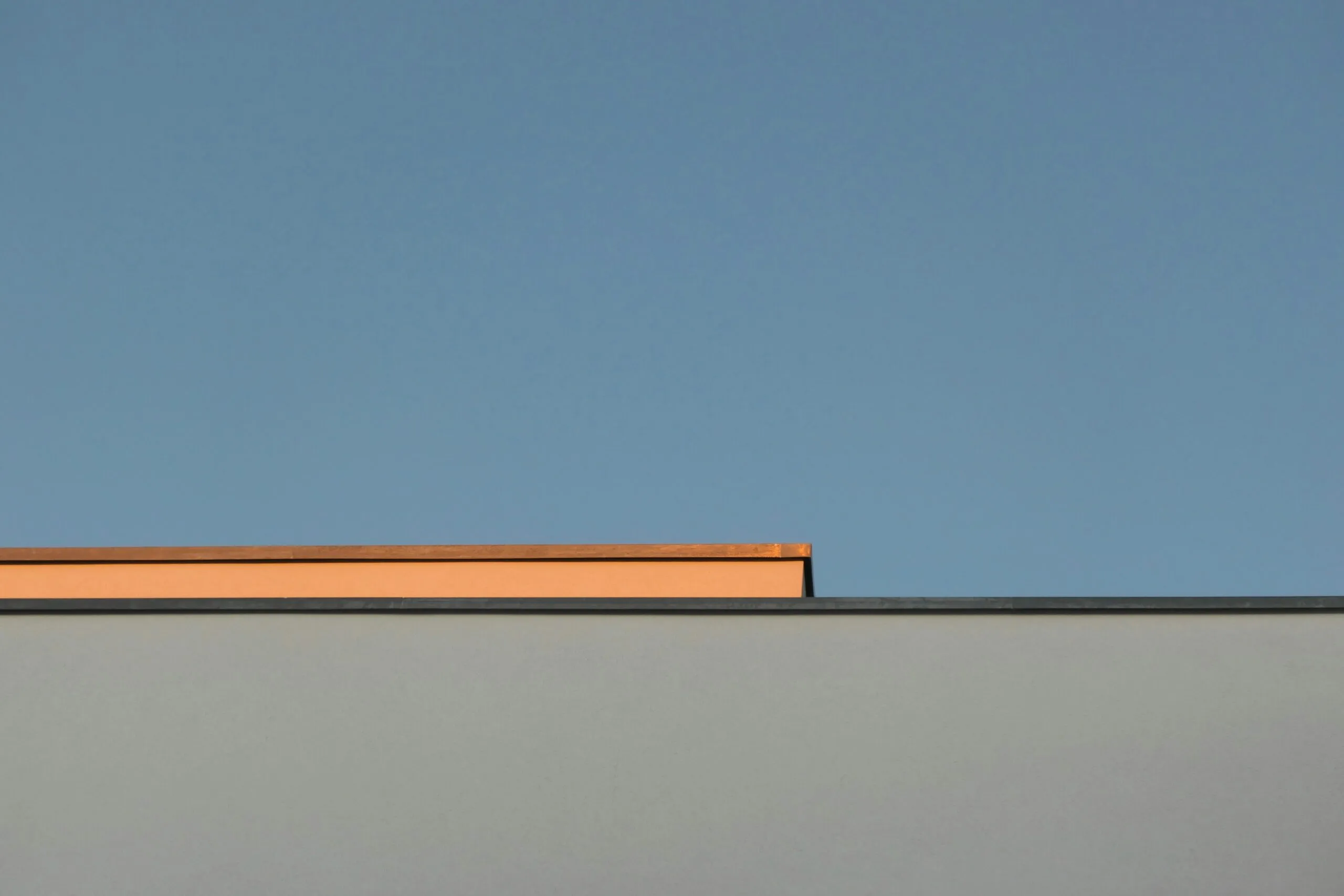 a bird is perched on top of a building