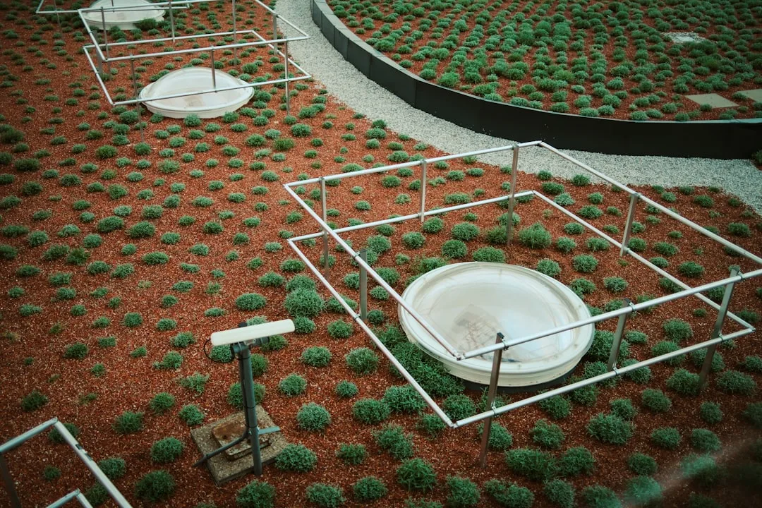 Lush greenery with structures on a rooftop garden.
