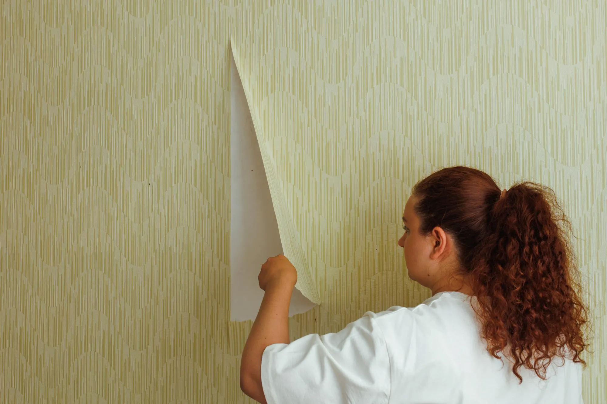 Back view of young fat woman wearing white Tshirt beige trousers standing at wall removing old yellow wallpaper