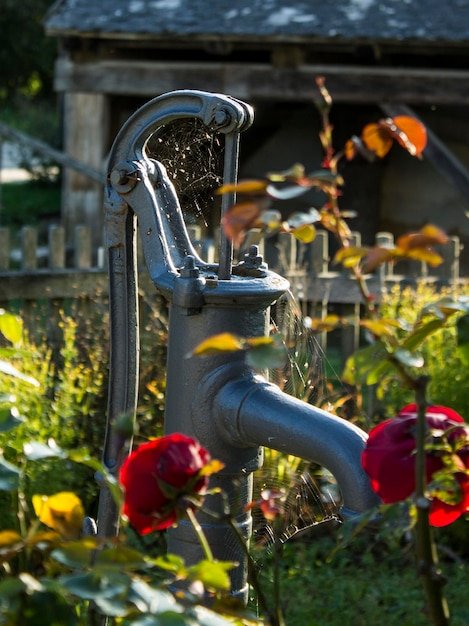 Close-up of hand pump by flowering plants in lawn