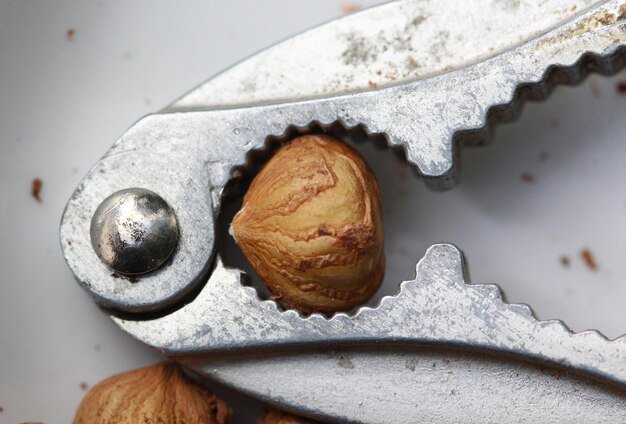 Close up of hazelnuts