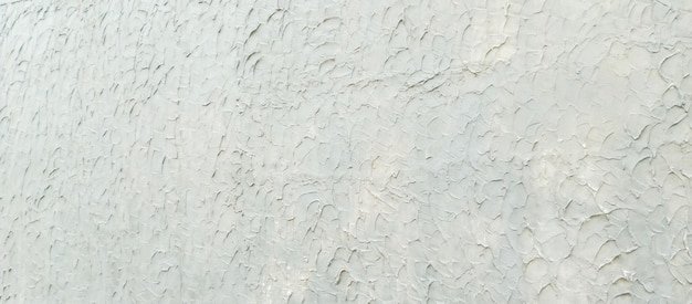 a close up of a stone wall with a small white and black bird on it