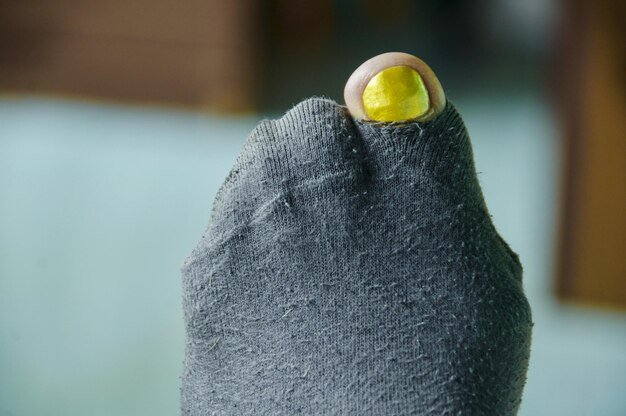 Close-up of yellow bird