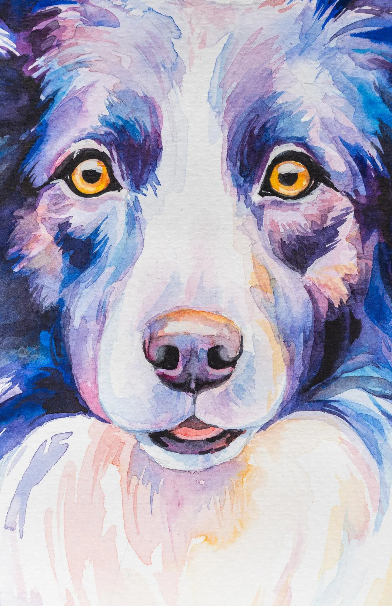 Dog painted in watercolor on a white background