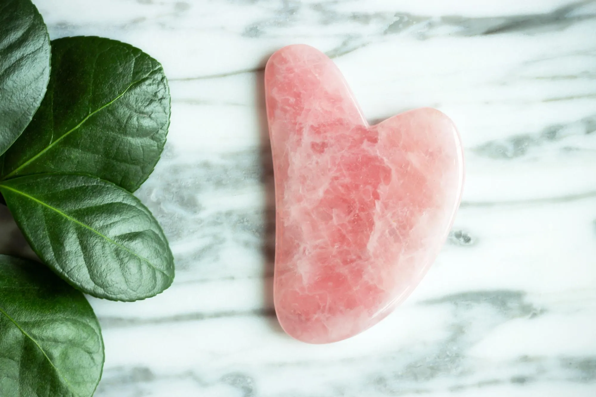 A gua sha for the face and a flower against the marble background view from above