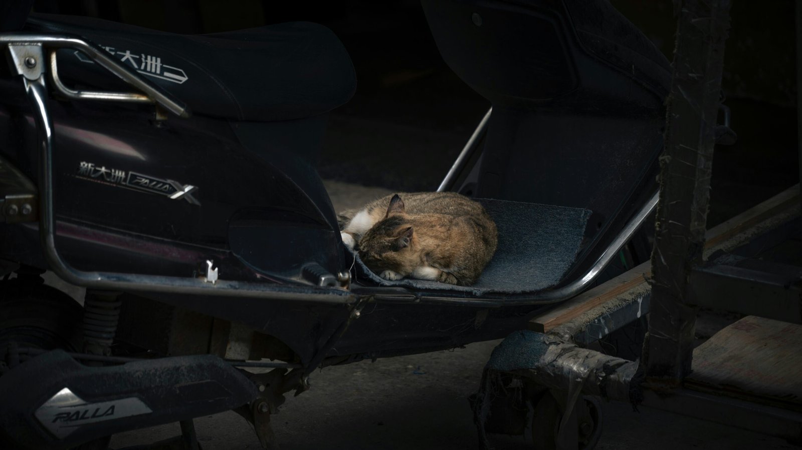 a cat laying on the seat of a motorcycle