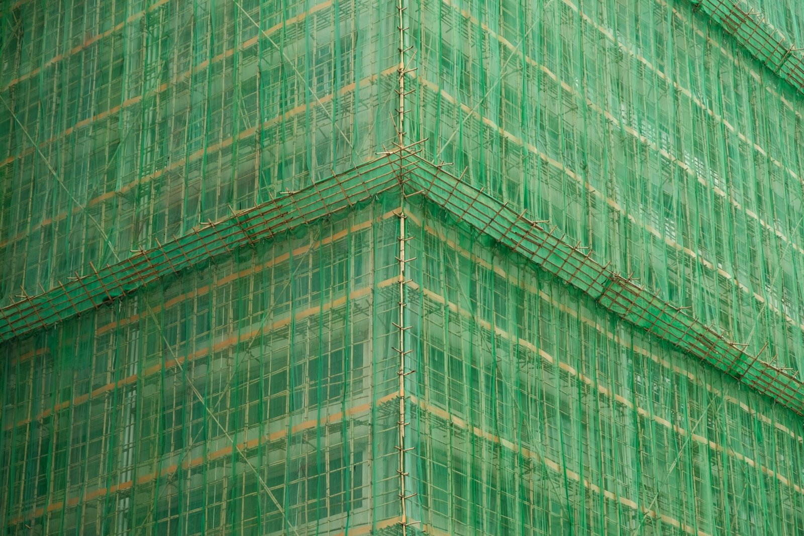 A tall green building with lots of windows