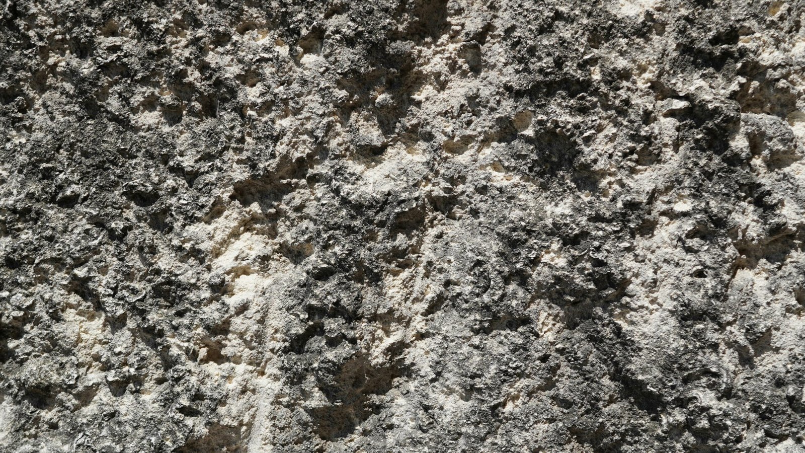 Close-up texture of speckled grey and white stone