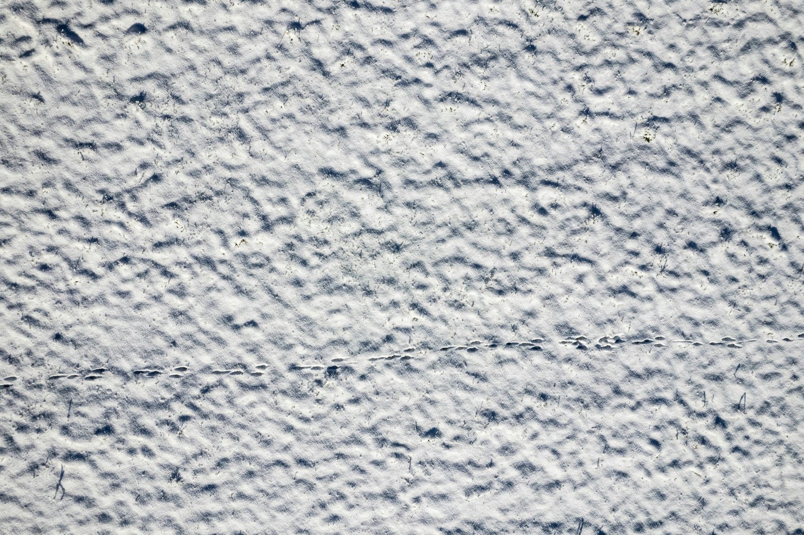 a textured background of white and blue paint