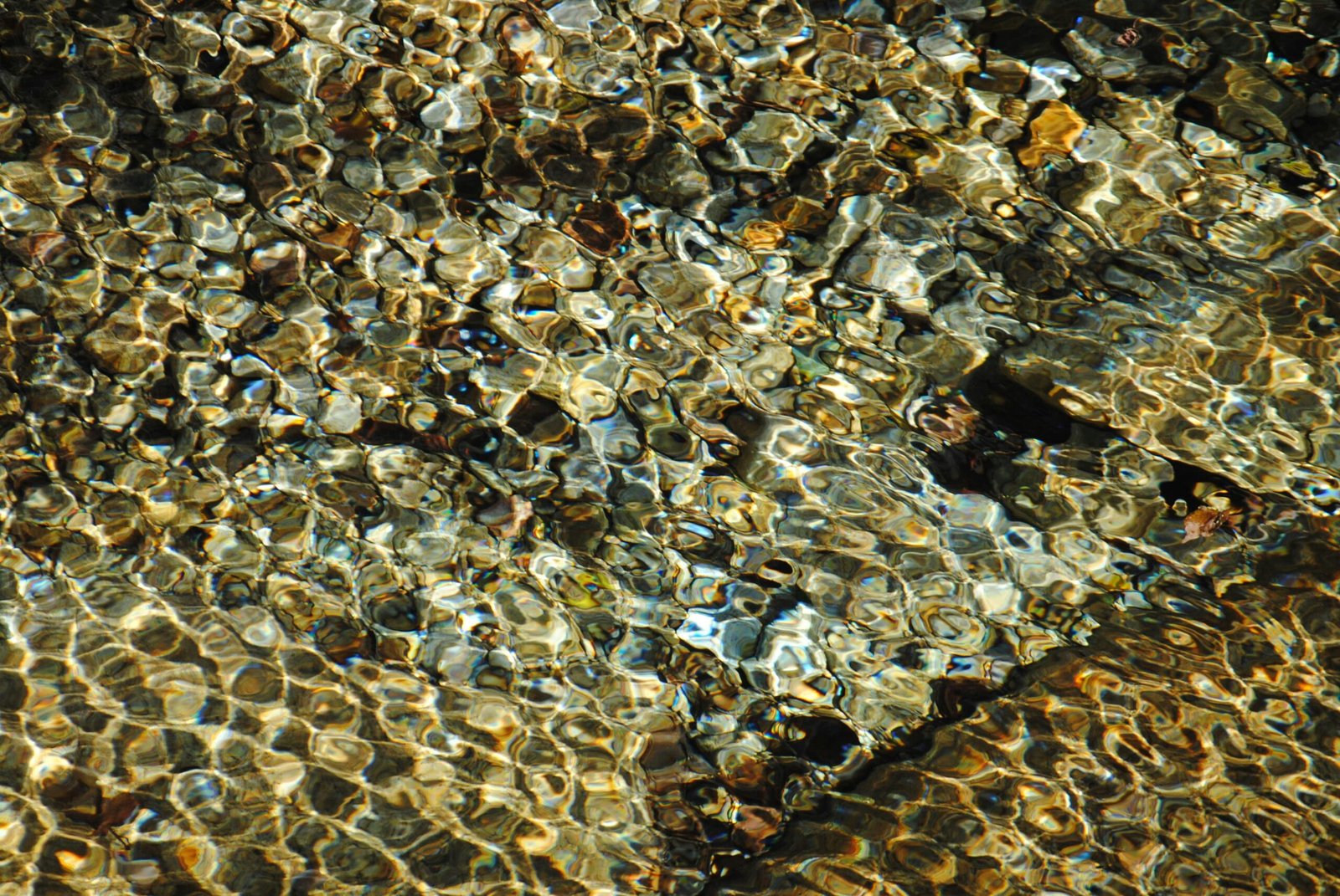 A close up of a rock with small rocks on it