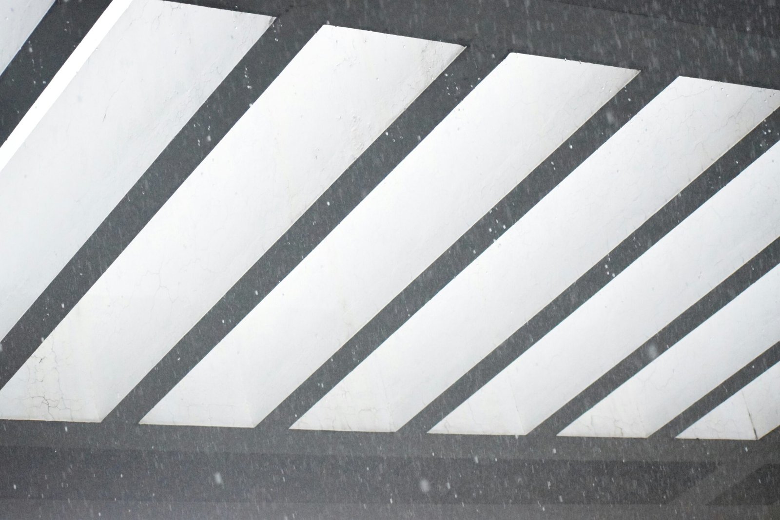 A black and white photo of a person holding an umbrella