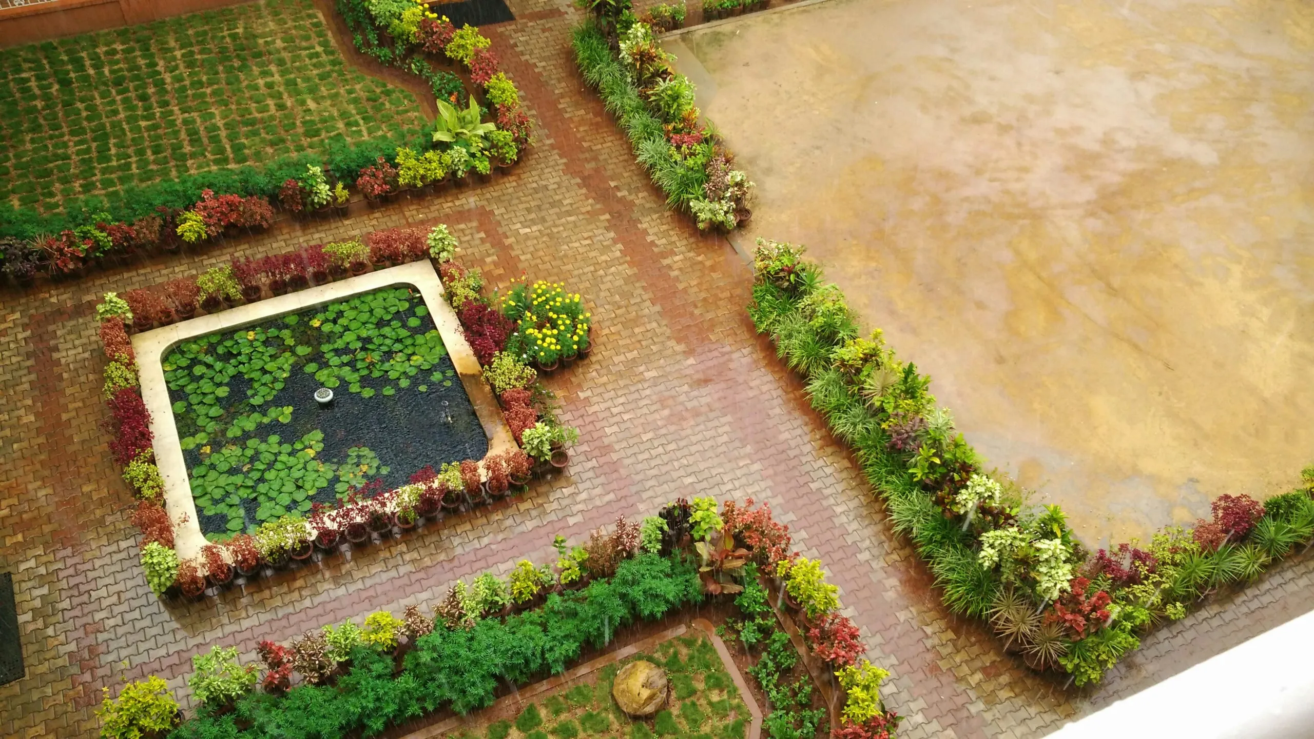aerial view of green trees and brown concrete floor