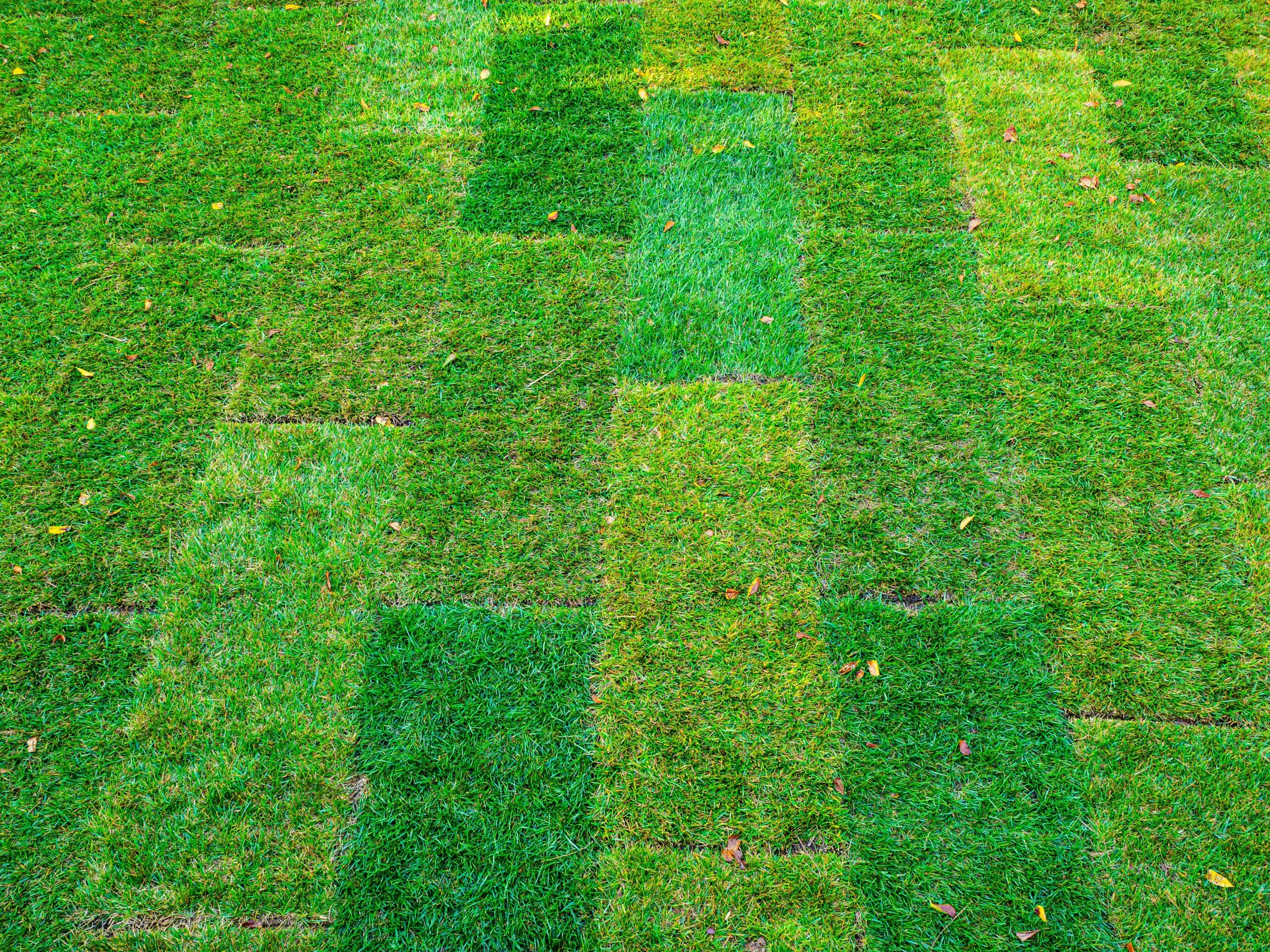Patterned green grass with varying shades of green.