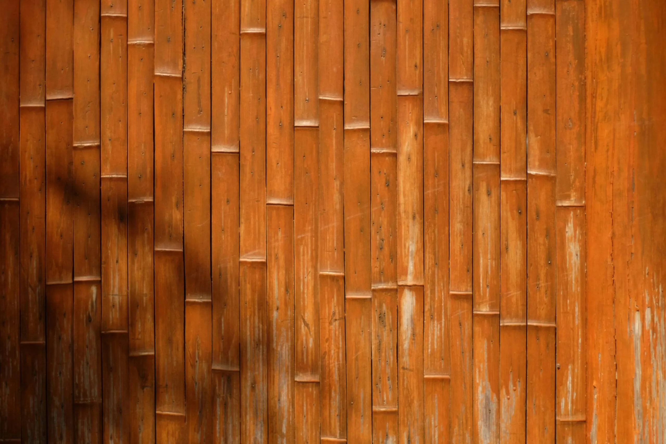 a bamboo wall with a tree in front of it
