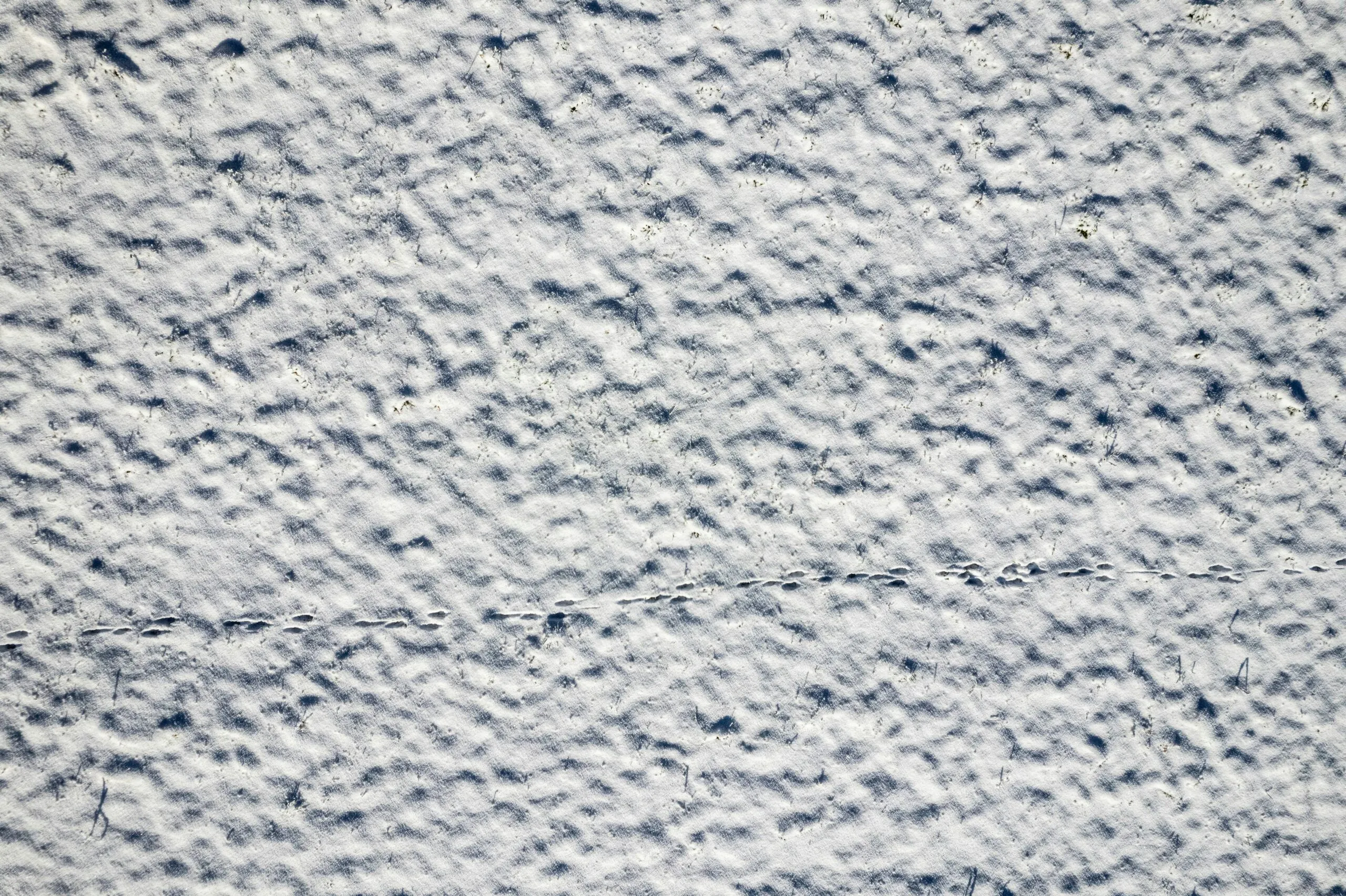 a textured background of white and blue paint