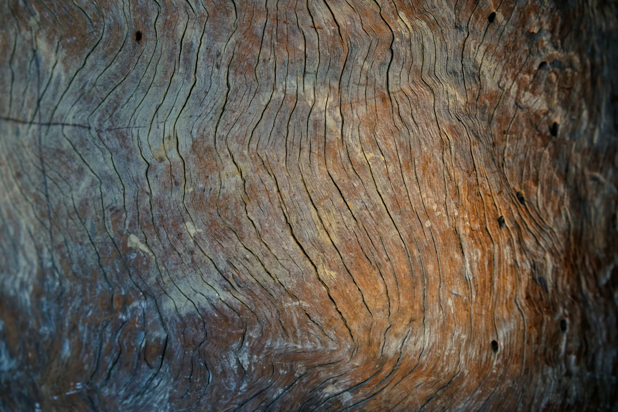 a piece of wood that has been carved into it