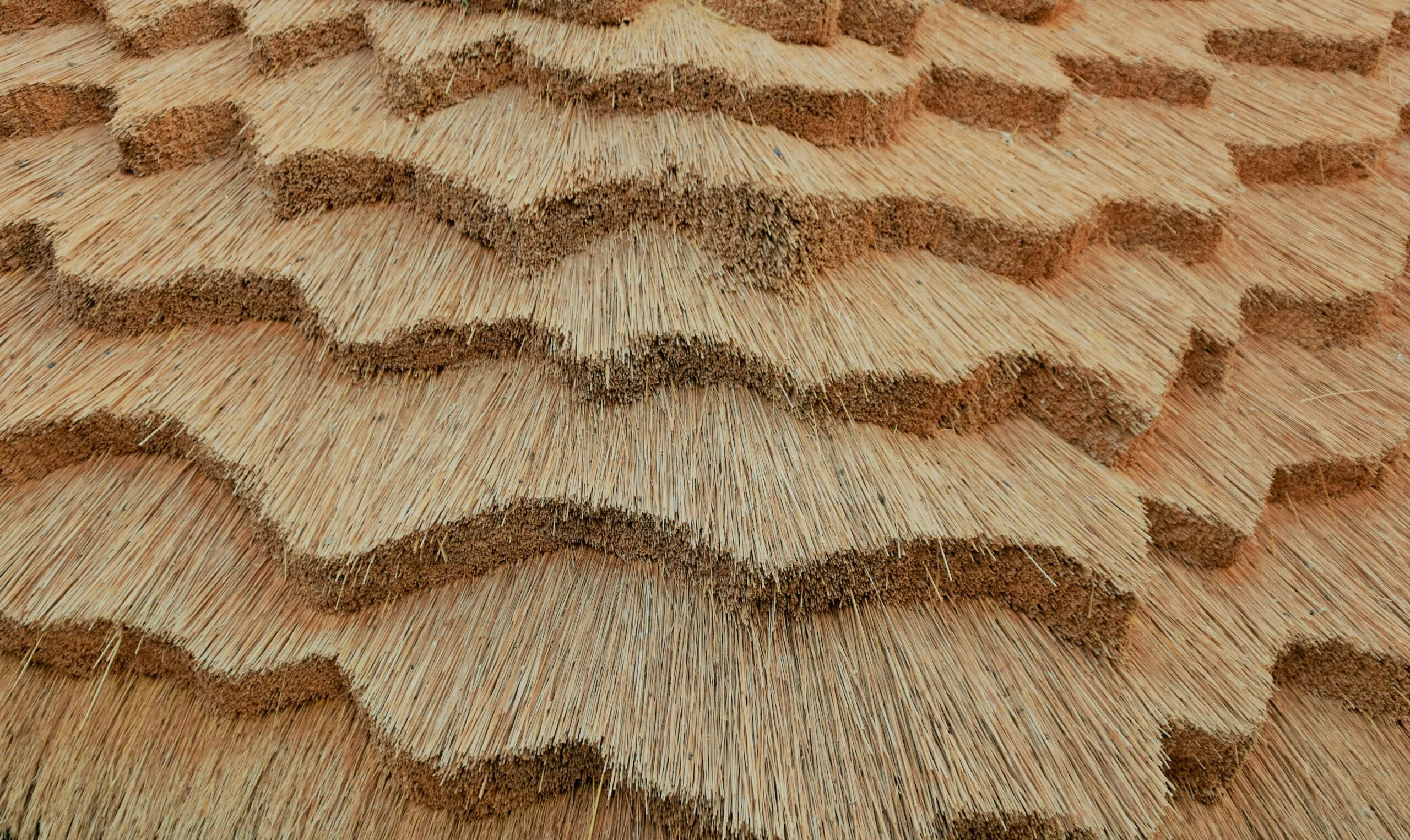 brown soil