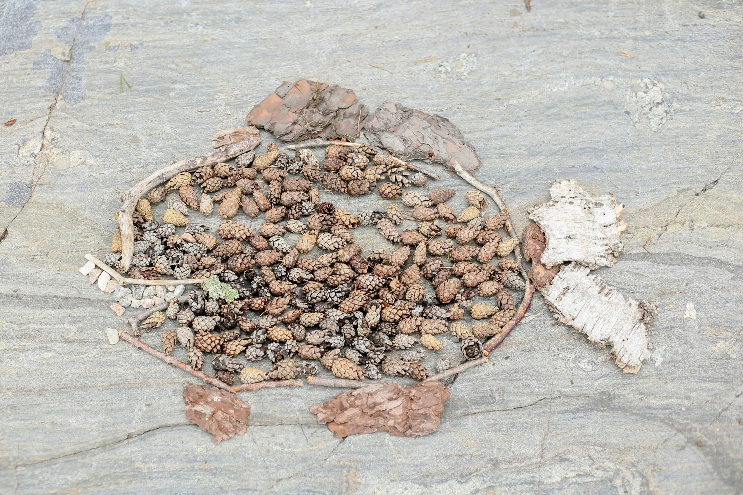 Fish made of natural materials on a stone surface.
