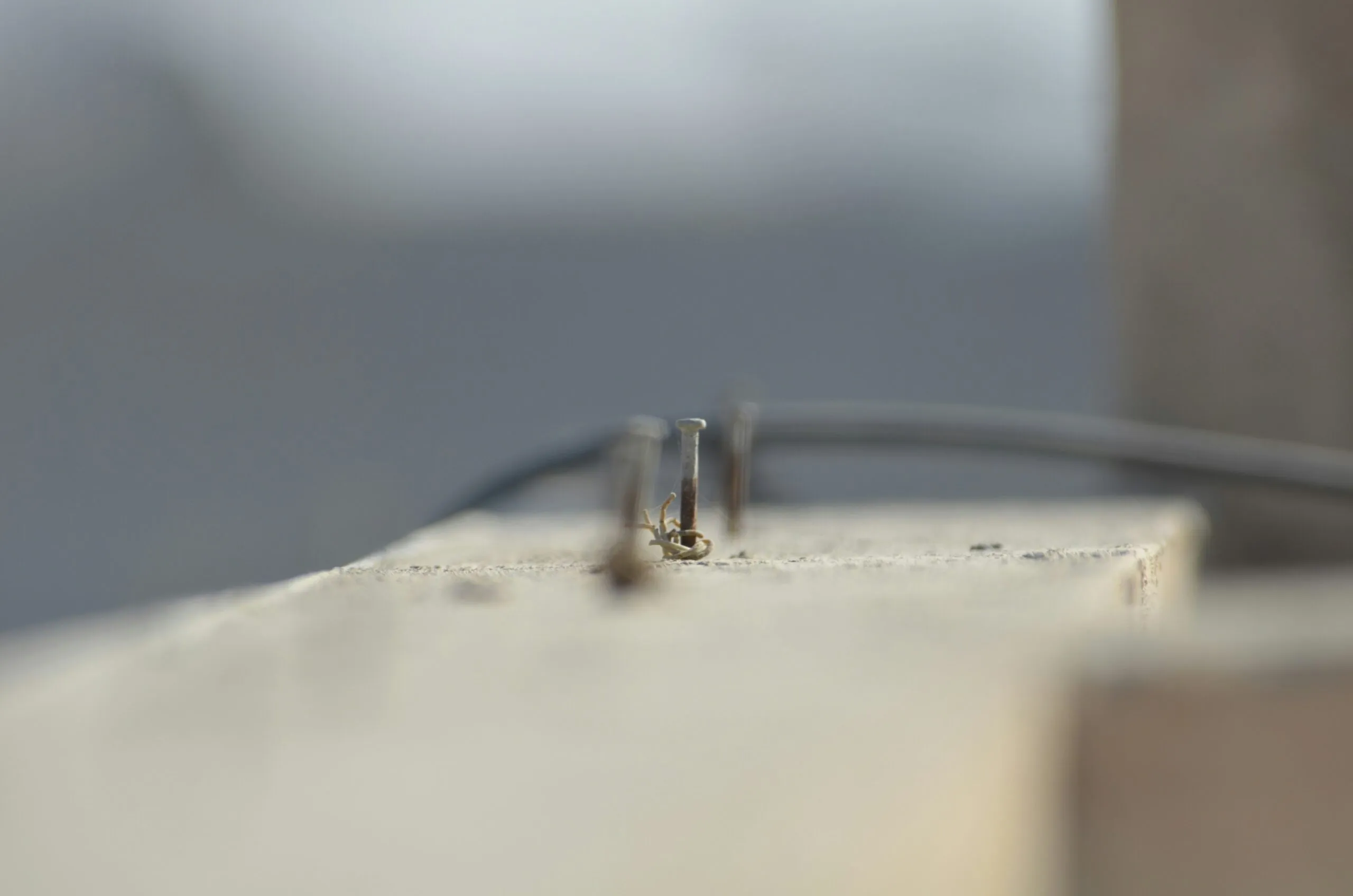 A couple of small silver rings sitting on top of a table