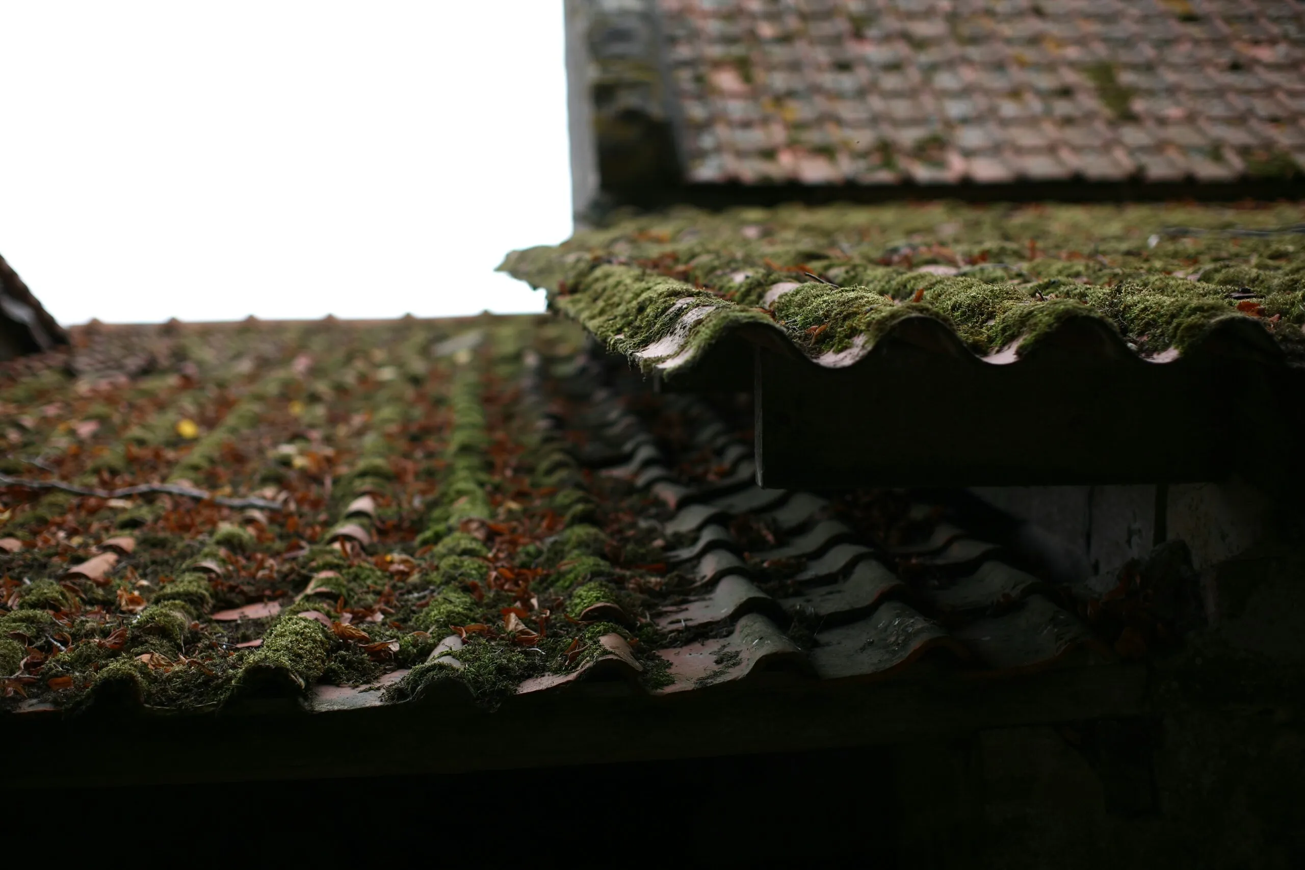 a stone fireplace with moss growing on it