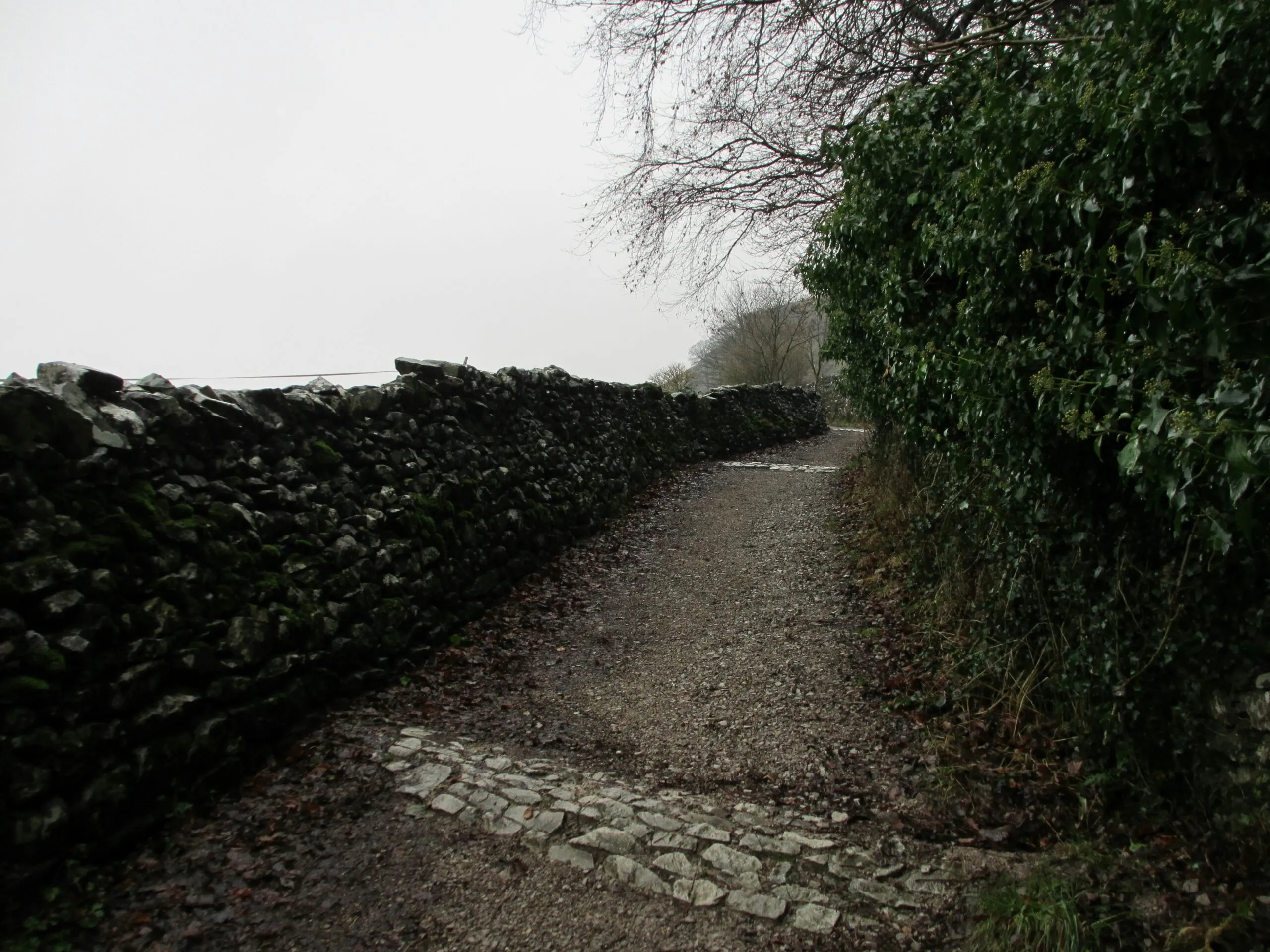 a stone path with bushes on either side of it