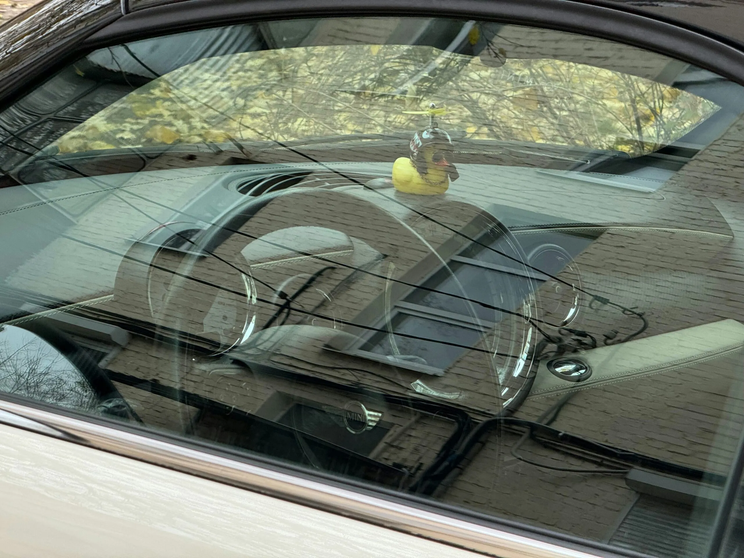 a bird sitting on the dashboard of a car