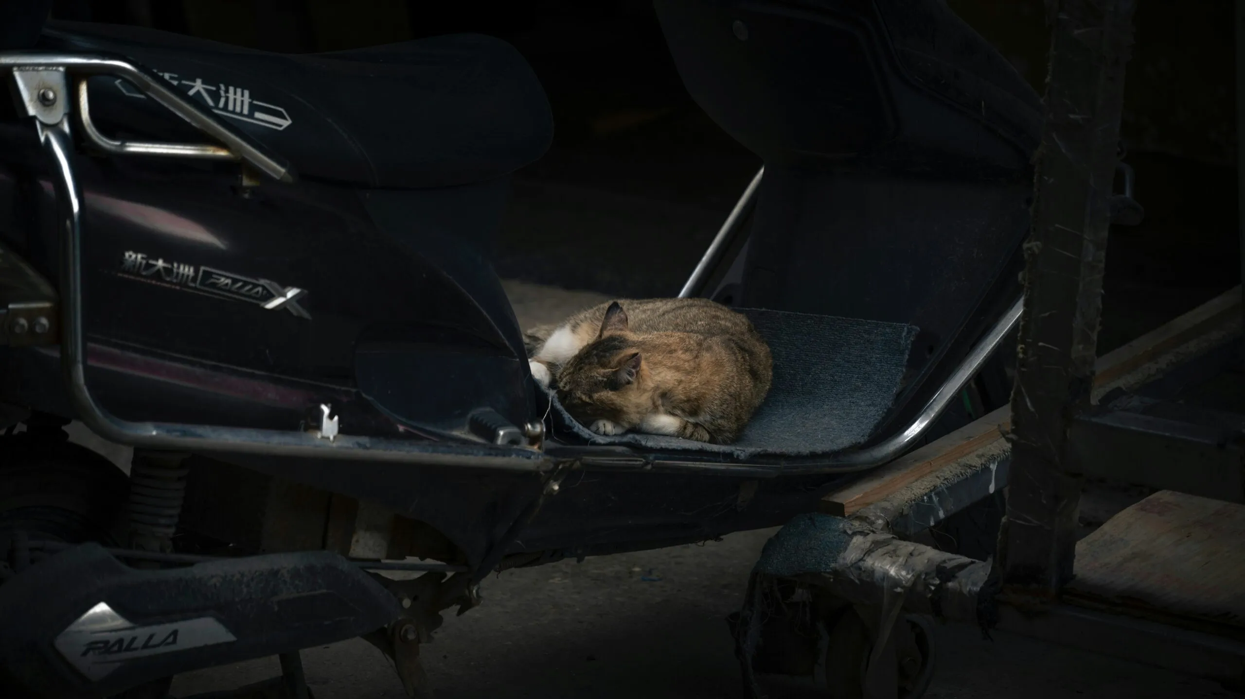 a cat laying on the seat of a motorcycle