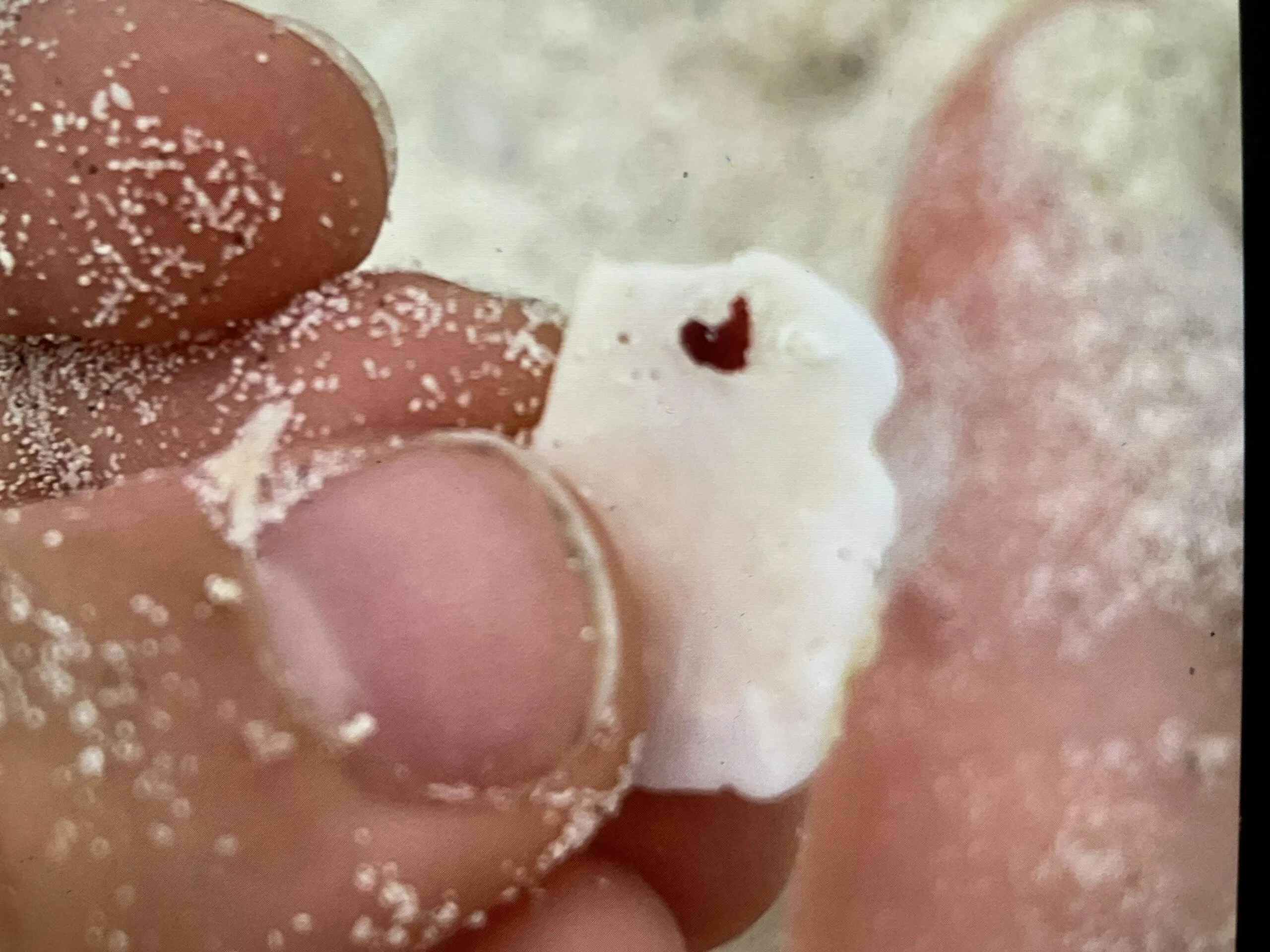 a close up of a person holding a piece of food