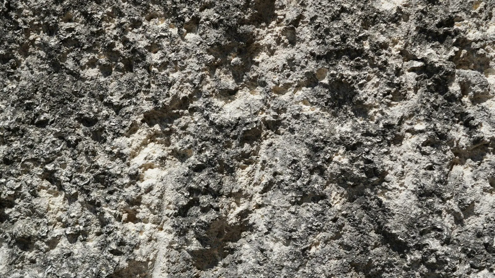 Close-up texture of speckled grey and white stone