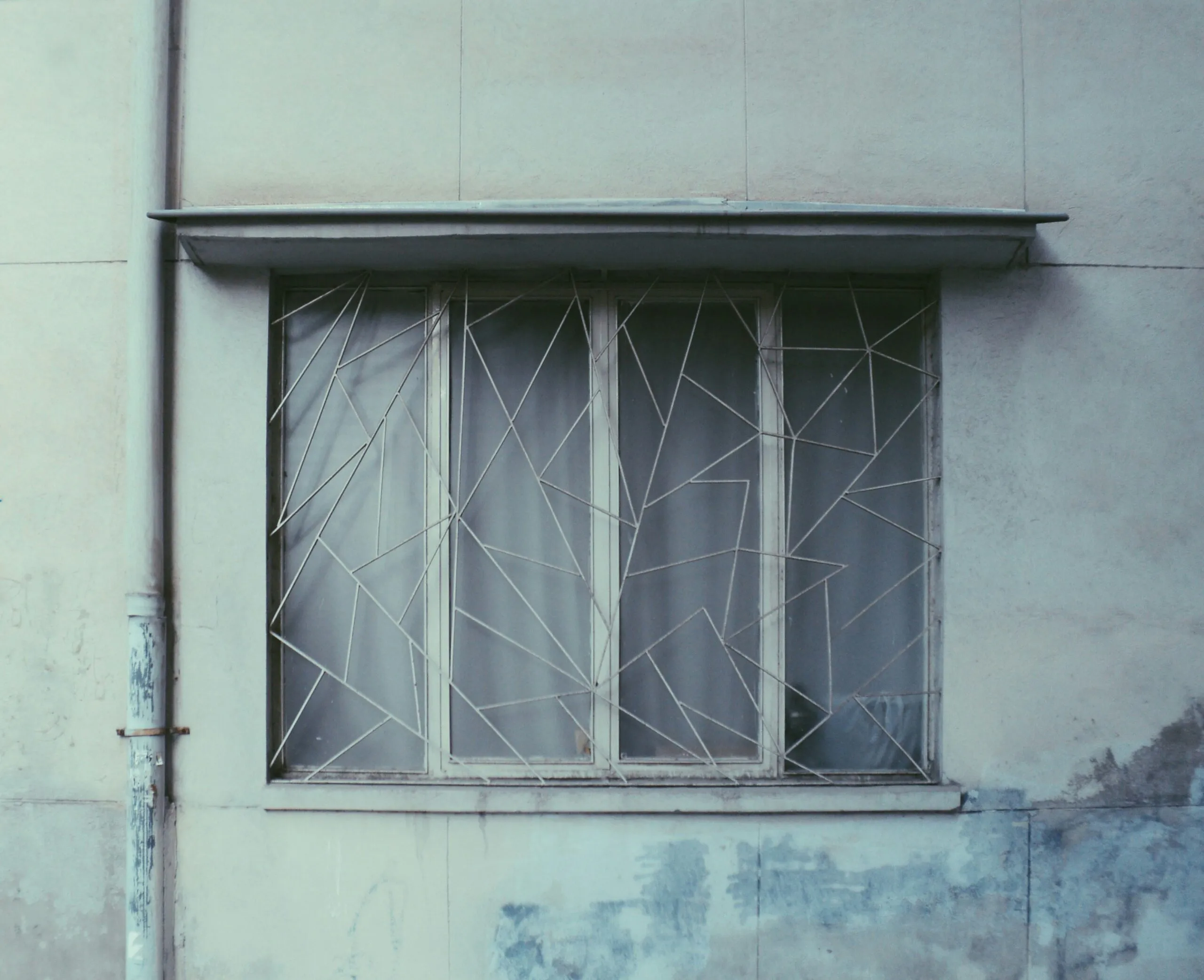 Window with a metal security grate and blinds.