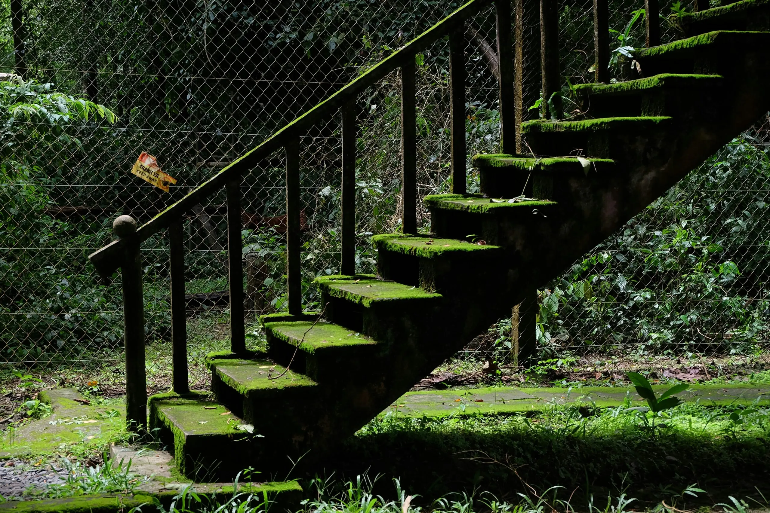 Moss-covered stairs lead up towards a fence.