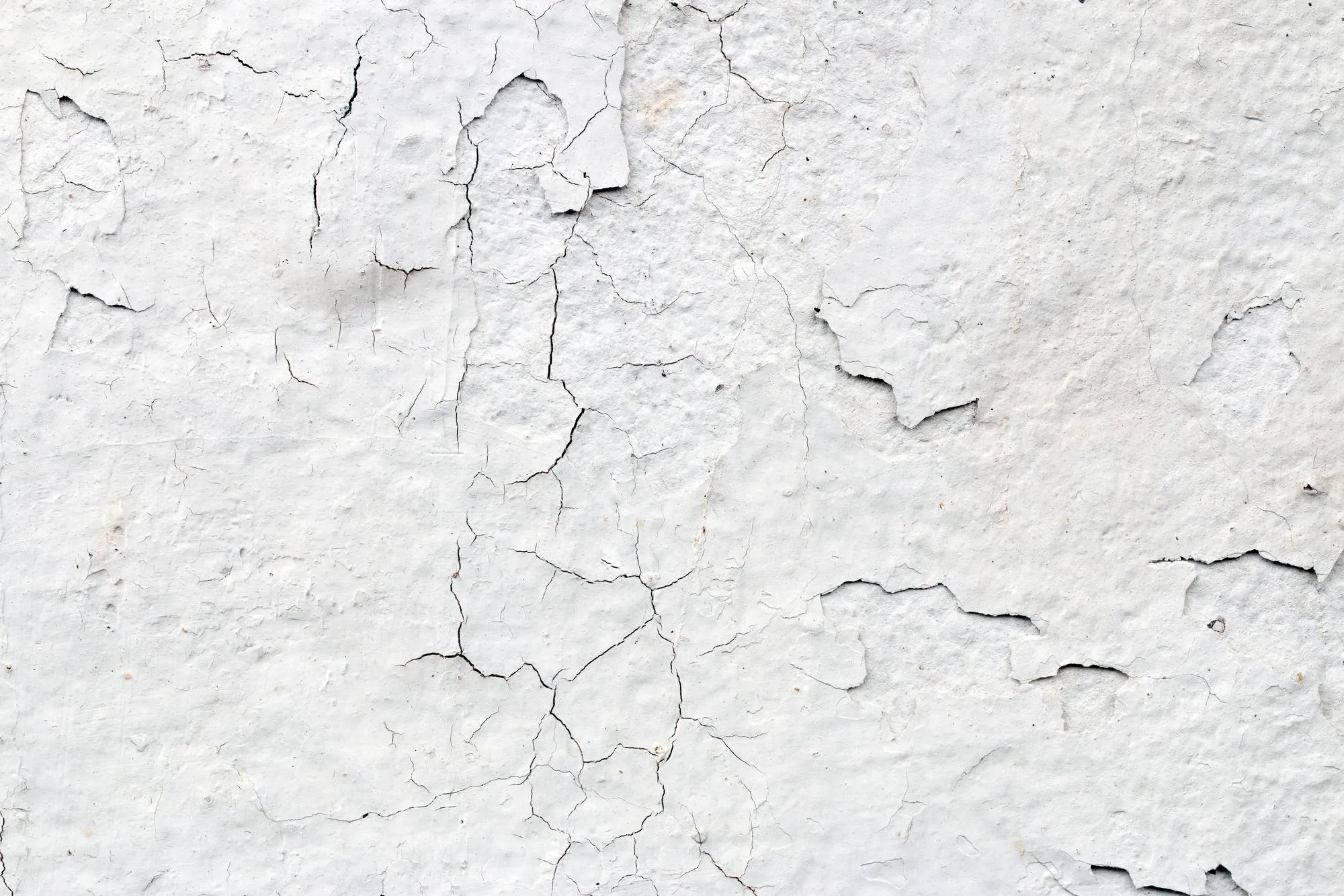 Light Gray Stucco Wall Texture Abstract Background