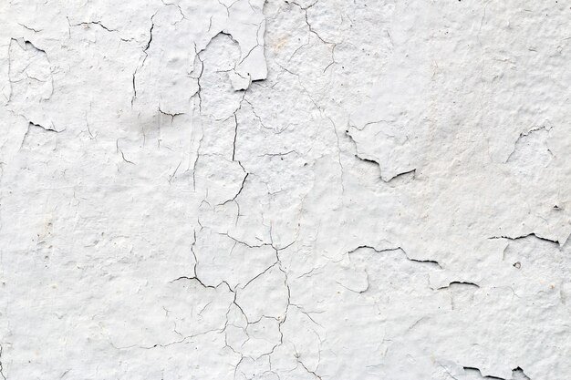 Light Gray Stucco Wall Texture Abstract Background