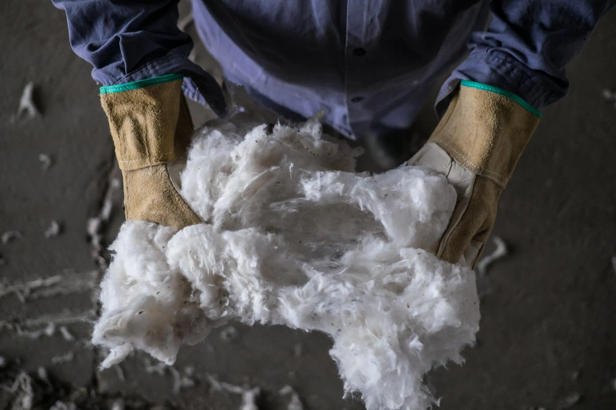 Midsection of person holding cotton