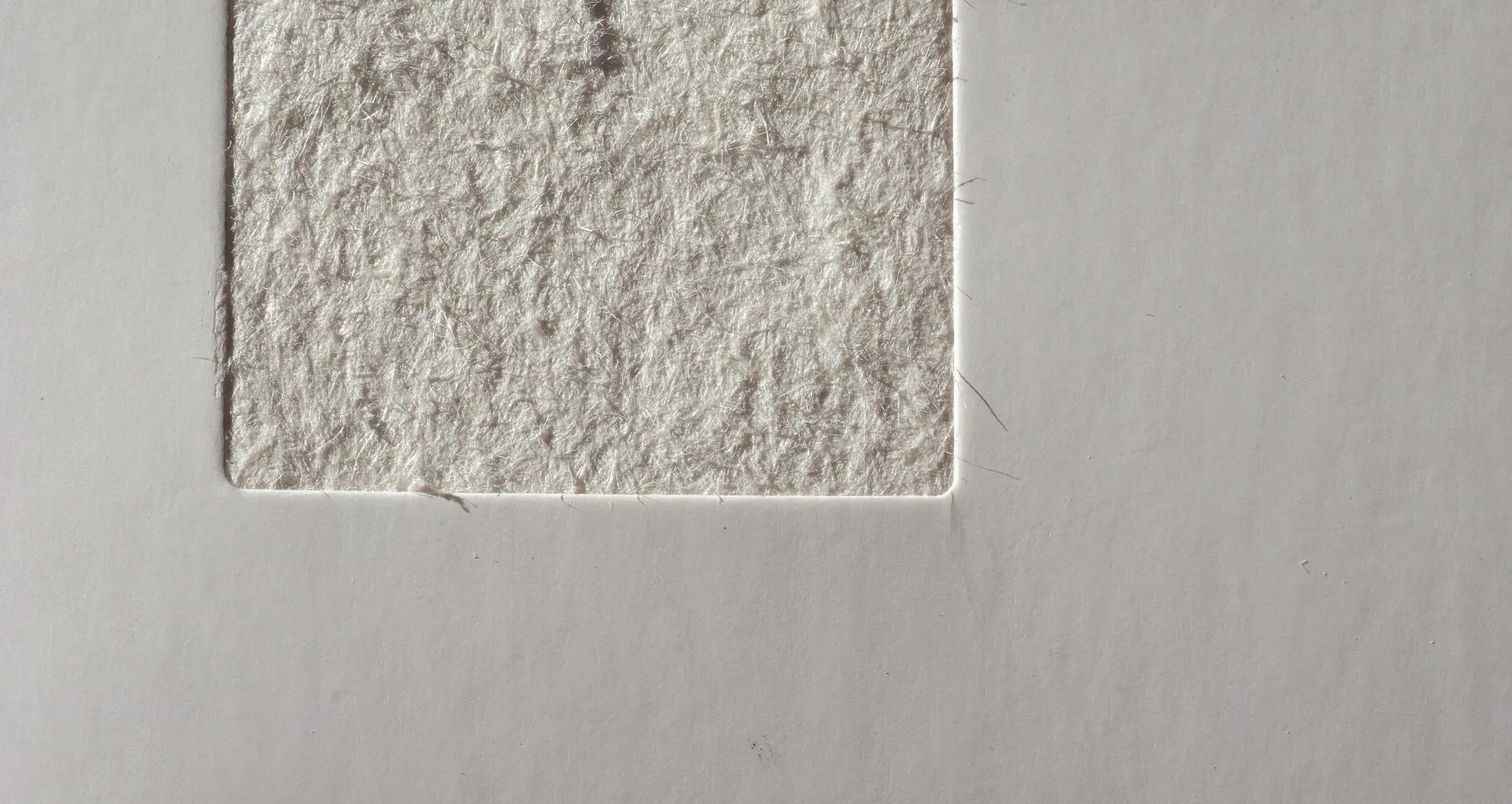 Paper texture background
