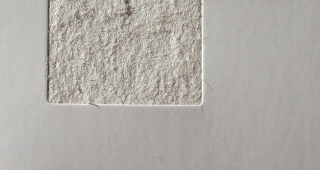 Paper texture background