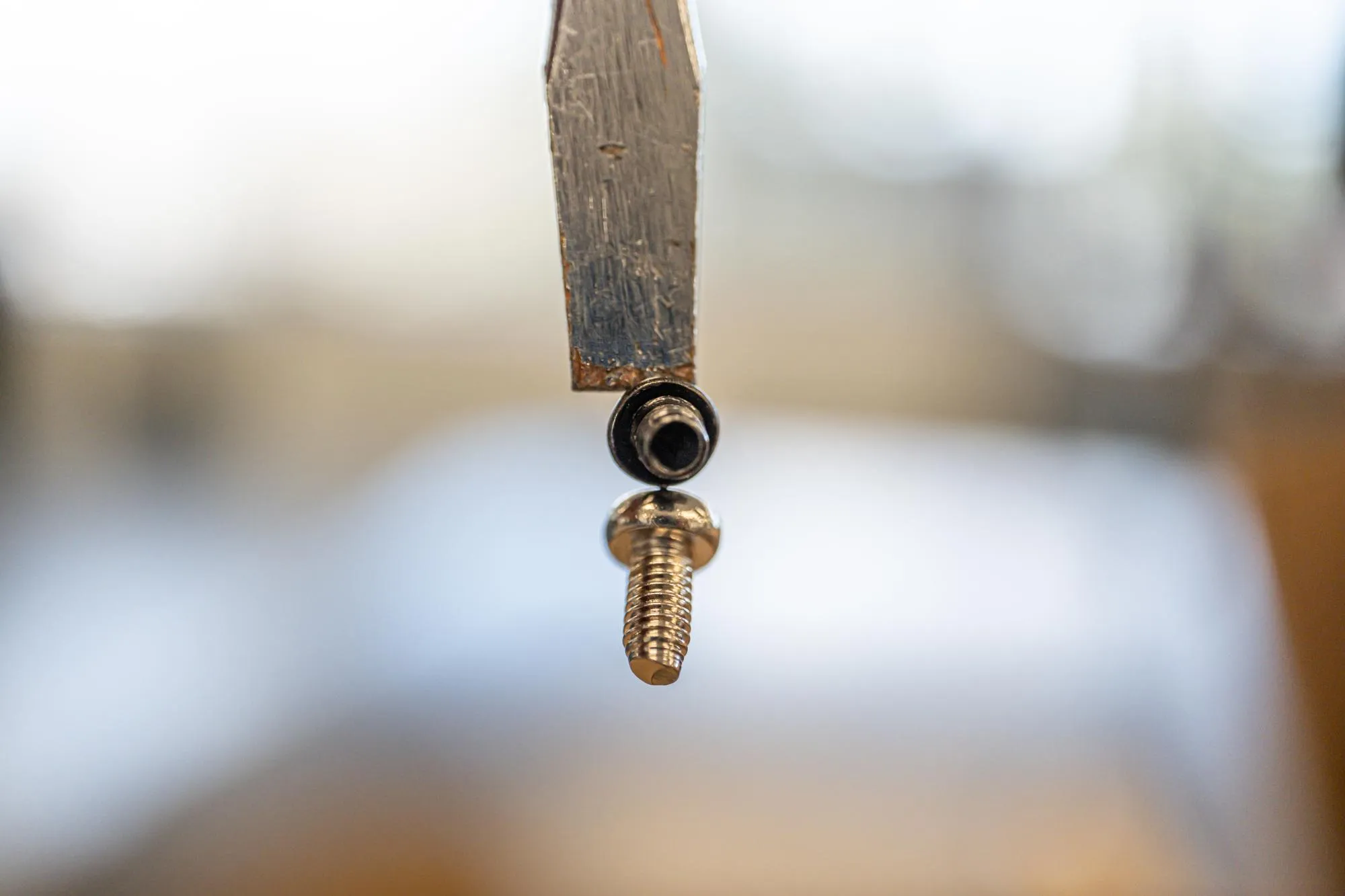 Screw hanging from magnetic screw driver to repair electronics