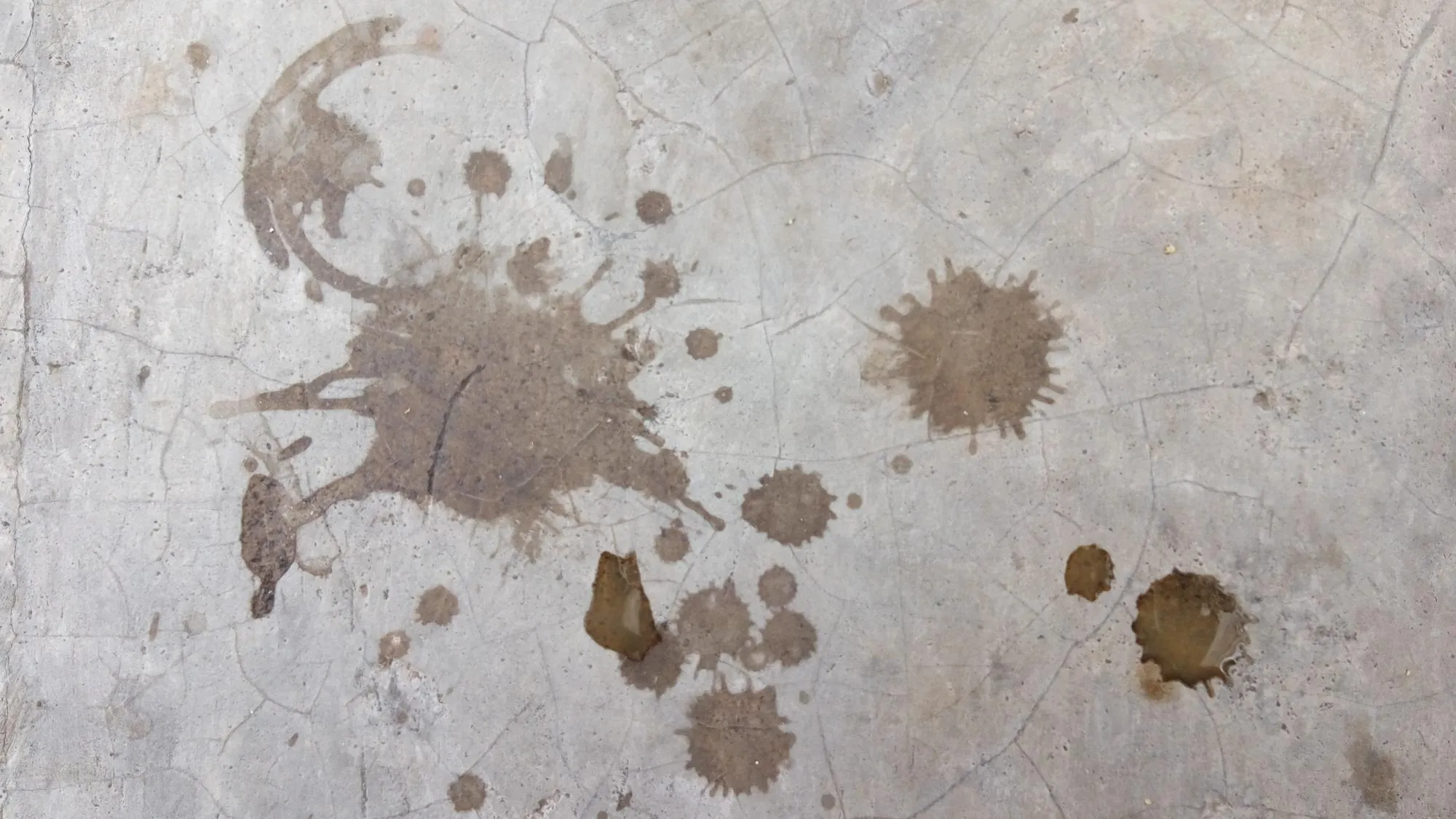 Directly above shot of wet floor
